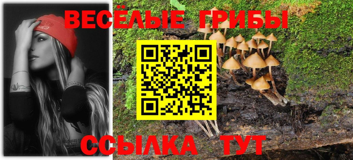 Галлюциногенные грибы мухоморы Барабинск