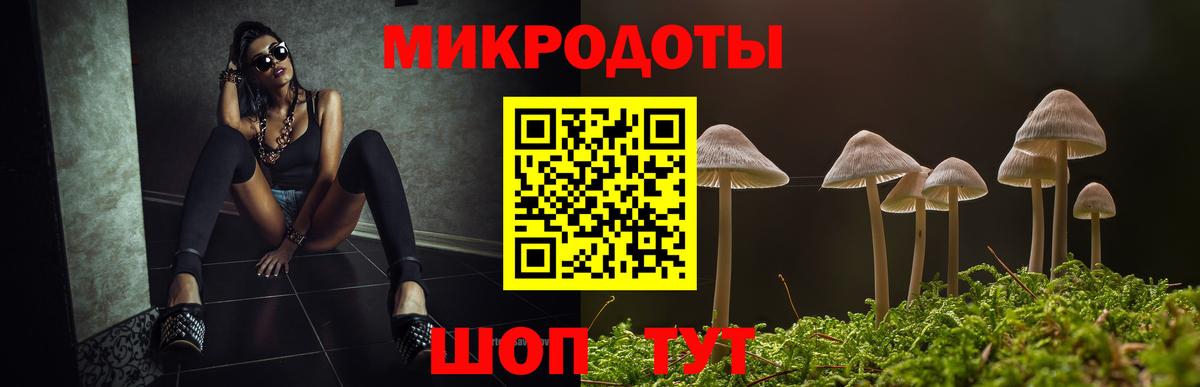 Барабинск  Псилоцибиновые грибы мухоморы  Вход с VPN 