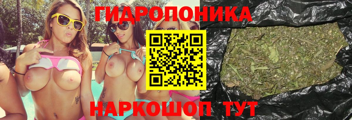 Бошки марихуана марихуана Барабинск